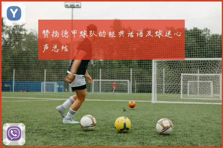 赞扬德甲球队的经典话语及球迷心声总结