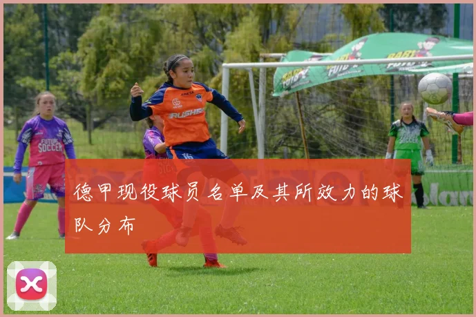 德甲现役球员名单及其所效力的球队分布