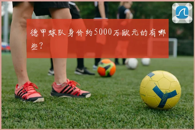 德甲球队身价约5000万欧元的有哪些？